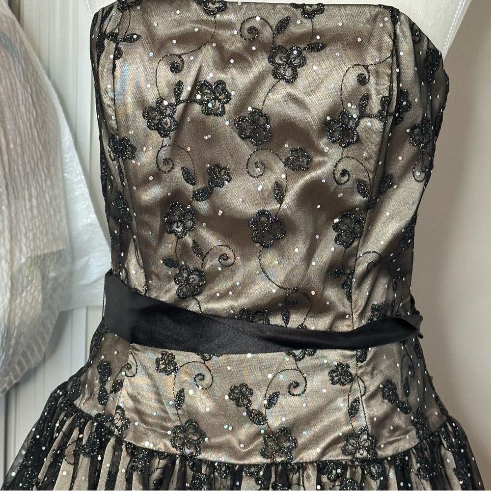 Cache Fairy Grunge Black Lace Strapless Mini Dress - Picture 6 of 6